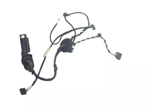 Passat 3C B8 3G Kabelbaum Tür Türkabelbaum hinte links Leitungssatz 3G0971693H/F (181663)