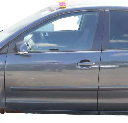 VW Polo 9N 9N3 Tür vorne links Fahrertür 4/5-Türer grau LC7V ohneAnbauteile (182371)