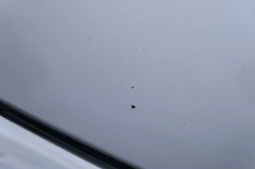 Passat 3C Motorhaube Klappe vorne vorn Haube silber grau LA7W reflexsilber (183091)