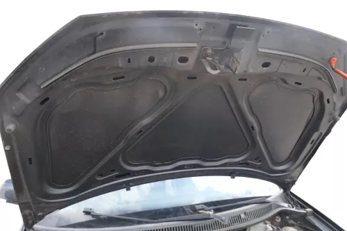 VW Polo 9N3 Cross Motorhaube KLappe vorne grau LC7V (183192)