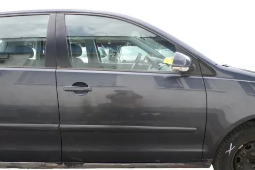 VW Polo 9N 9N3 Tür vorne rechts Beifahrertür 4/5-Türer grau LC7V ohneAnbauteile