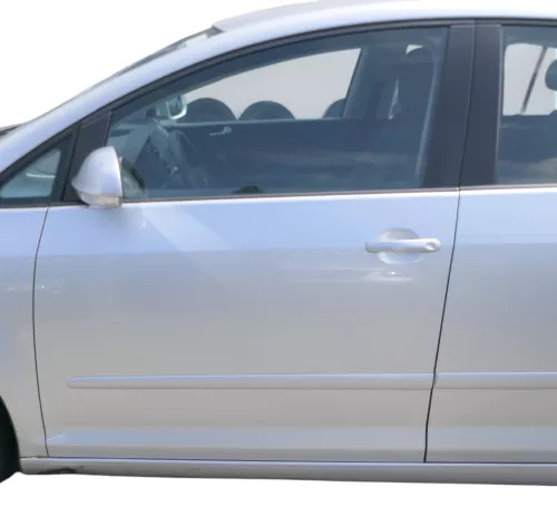 VW Golf Plus 5M Türblatt Tür vorne links Fahrertür silber LA7W -Türblatt +Rahmen (183431)