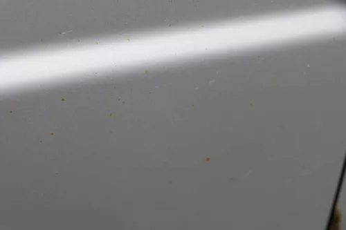 Skoda Fabia 6Y Kombi Limousine Tür vorne rechts Beifahrertür grau silber LF7T (183659)