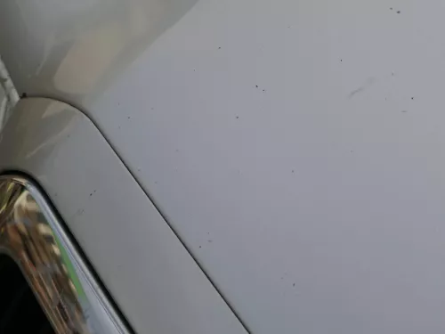 Skoda Octavia 1U Motorhaube Haube Klappe vorne silber grau LF7T mit Grill (184300)