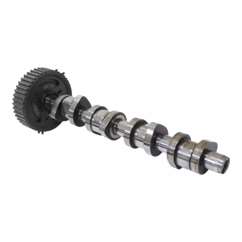 VW Touran Golf 5 Nockenwelle 2.0 TDI 1,9 038109101AH (184486)