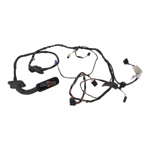 VW Polo 6R Kabelbaum Tür Türkabelbaum ZV vorne links Leitungssatz 6R1971120ES