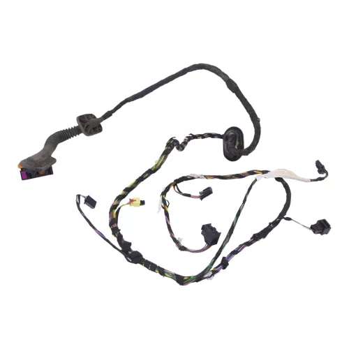 VW Polo 6R Kabelbaum Tür Türkabelbaum ZV vorne rechts Leitungssatz 6R1971121FL