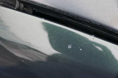 Skoda Fabia 6Y Kotflügel vorne link grün LF8C auch Kombi  (184737)