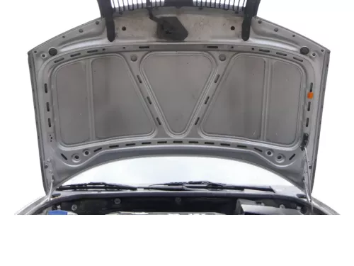Skoda Fabia 6Y Motorhaube Klappe vorne silber LF7T vorn     (OHNEgrill!) (184846)