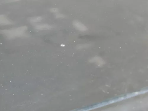 Audi A6 4B C5 Tür nur Türblatt vorne rechts Beifahrertür schwarz LZ9W (184974)