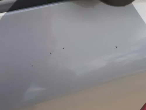 Fabia 5J Kombi + Limo Tür vorne links Fahrertür - braun LF8H -ohne Anbauteile (185112)