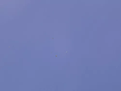 VW Golf 4 Motorhaube Haube Klappe vorne blau LW5Z (185163)