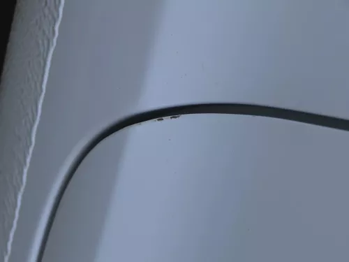 VW Fox 5Z Tür vorne rechts Beifahrertür rechts weiß LB9A - ohne Anbauteile (185238)