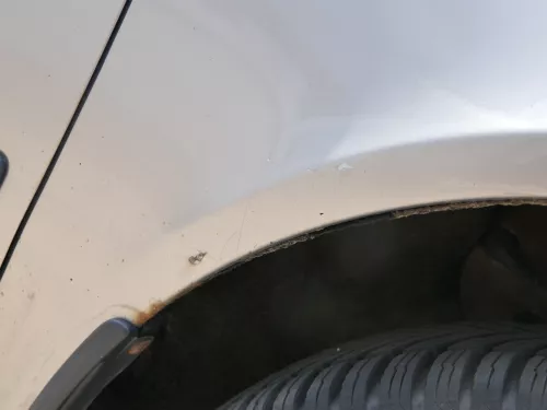 Skoda Octavia 1Z Kotflügel vorne rechts auch Kombi LF8H Cappuccino Beige  (185765)