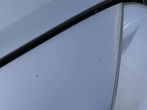 Skoda Octavia 1Z Kotflügel vorne rechts auch Kombi LF8H Cappuccino Beige  (185765)