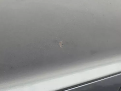 Audi A6 4F C6 Tür Türblatt vorne rechts Beifahrertür grau LZ7S - ohne Anbauteile (185860)
