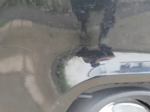 A4 8K B8 Kombi Avant Stoßstange vorne mit Spoiler schwarz LY9B + Grill -BILDER! (186154)