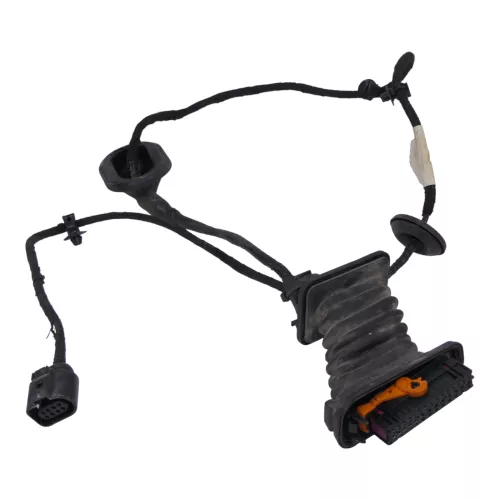 VW Passat 3C Kabelbaum Tür Türkabelbaum ZV hinten rechts 3C4971694GE