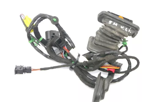 VW Golf Plus Kabelbaum Tür Türkabelbaum ZV vorne links 5M1971120A (119535)
