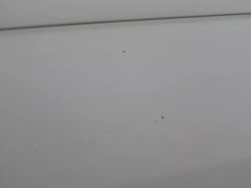 VW Touran 1T 1T3 Tür hinten links silber LA7W - ohne Anbauteile (186547)