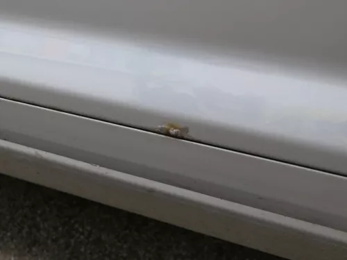 Audi A3 8P 2/3-Türer Tür vorne rechts Beifahrertür Türblatt grau LY7J (187451)