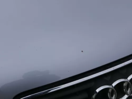 Audi A3 8P Motorhaube Haube Klappe vorn vorne braun grau LY7J 2/3-Türer (187456)