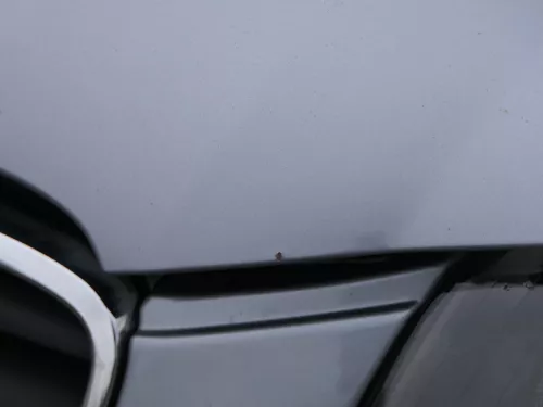 Audi A3 8P Motorhaube Haube Klappe vorn vorne braun grau LY7J 2/3-Türer (187456)