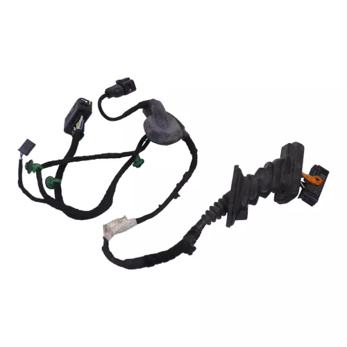 Touran 1T Kabelbaum Tür Türkabelbaum hinten links  Leitungssatz 1T0971693AS /BB (186396)