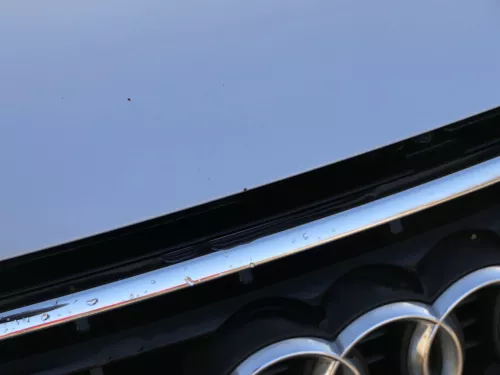 Audi A4 B6 Cabrio 8H Motorhaube Haube Klappe silber LY7W (200342)