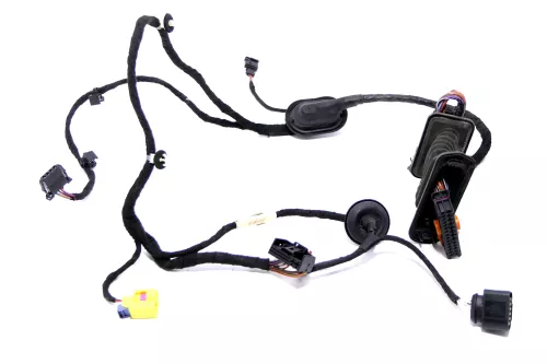 VW Passat 3C Kabelbaum Tür Türkabelbaum ZV vorne links Leitungssatz 3C1971120BR (155977)