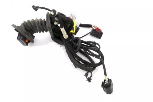 VW Passat 3C Kabelbaum Tür Türkabelbaum ZV vorne links Leitungssatz 3C1971120BR